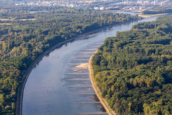 Trockengefallene Buhnen und Sandbänke im Rhein wegen Niedrigwasser in Neupotz im Bundesland Rheinland-Pfalz, Deutschland