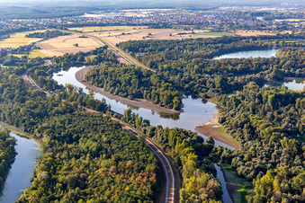 Altrhein bei Niedrigwasser im Ortsteil Leopoldshafen in Eggenstein-Leopoldshafen im Bundesland Baden-Württemberg, Deutschland