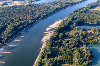 Trockengefallene Buhnen und Sandbänke im Rhein wegen Niedrigwasser in Neuburg am Rhein im Bundesland Rheinland-Pfalz, Deutschland