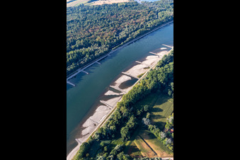 Trockengefallene Buhnen und Sandbänke im Rhein wegen Niedrigwasser in Hagenbach im Bundesland Rheinland-Pfalz, Deutschland