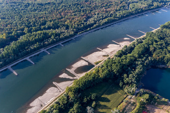 Luftbild von Trockengefallene Buhnen und Sandbänke im Rhein wegen Niedrigwasser in Hagenbach im Bundesland Rheinland-Pfalz, Deutschland