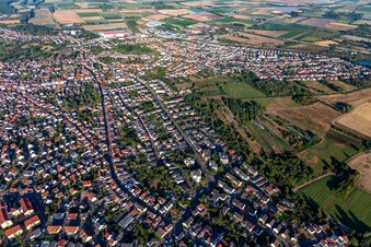 Schifferstadt im Bundesland Rheinland-Pfalz, Deutschland von oben