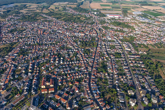 Schifferstadt im Bundesland Rheinland-Pfalz, Deutschland aus der Luft