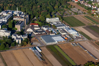 BASF Agricultural Center in Limburgerhof im Bundesland Rheinland-Pfalz, Deutschland von oben gesehen
