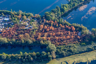 Luftaufnahme von Naherholungsgebiet Blaue Adria in Altrip im Bundesland Rheinland-Pfalz, Deutschland
