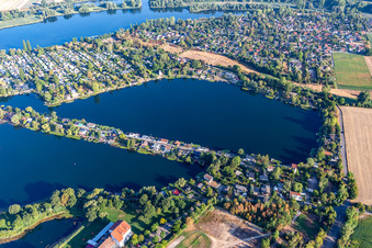 Naherholungsgebiet Blaue Adria, Schwanenweiher und Mittelweg in Altrip im Bundesland Rheinland-Pfalz, Deutschland