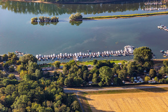 1. MBC Speyer im Bundesland Rheinland-Pfalz, Deutschland