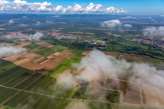 Ortsteil Billigheim in Billigheim-Ingenheim im Bundesland Rheinland-Pfalz, Deutschland von einer Drohne aus