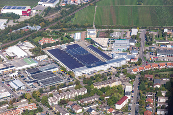 Luftaufnahme von Progroup AG in Landau in der Pfalz im Bundesland Rheinland-Pfalz, Deutschland