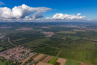 Kirrweiler im Bundesland Rheinland-Pfalz, Deutschland