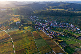 Ortsteil Pleisweiler in Pleisweiler-Oberhofen im Bundesland Rheinland-Pfalz, Deutschland aus der Vogelperspektive