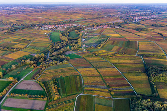 Drohnenbild von Ortsteil Heuchelheim in Heuchelheim-Klingen im Bundesland Rheinland-Pfalz, Deutschland