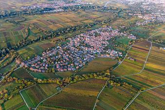 Ortsteil Arzheim in Landau in der Pfalz im Bundesland Rheinland-Pfalz, Deutschland von der Drohne aus gesehen