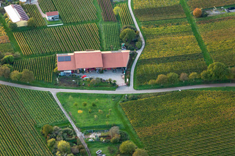 Luftaufnahme von Ortsteil Nußdorf in Landau in der Pfalz im Bundesland Rheinland-Pfalz, Deutschland