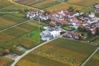 Vinothek Weingut Sauer in Nußdorf in Landau in der Pfalz im Bundesland Rheinland-Pfalz, Deutschland