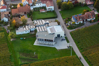 Luftaufnahme von Vinothek Weingut Sauer in Nußdorf in Landau in der Pfalz im Bundesland Rheinland-Pfalz, Deutschland