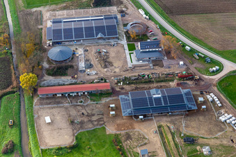 Luftbild von Erlenhof in Neupotz im Bundesland Rheinland-Pfalz, Deutschland