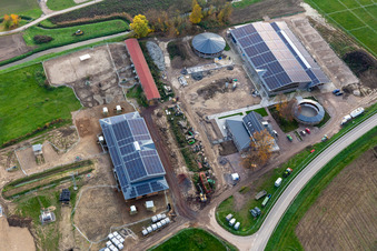 Luftaufnahme von Erlenhof in Neupotz im Bundesland Rheinland-Pfalz, Deutschland