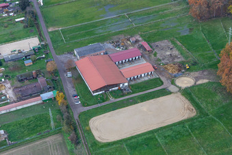 Pferdehof im Ortsteil Minderslachen in Kandel im Bundesland Rheinland-Pfalz, Deutschland