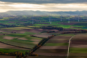 Windpark Freckenfeld im Bundesland Rheinland-Pfalz, Deutschland von oben