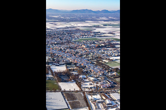 Luftbild von Untere Hauptstraße im Winter bei Schnee in Herxheim bei Landau im Bundesland Rheinland-Pfalz, Deutschland