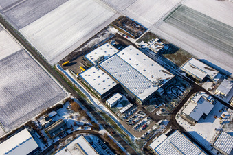 Heo im Winter bei Schnee in Herxheim bei Landau im Bundesland Rheinland-Pfalz, Deutschland