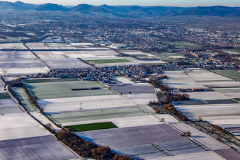 Mörlheim von Osten im Winter bei Schnee in Landau in der Pfalz im Bundesland Rheinland-Pfalz, Deutschland