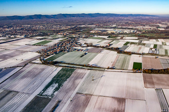 Im Winter bei Schnee im Ortsteil Mörlheim in Landau in der Pfalz im Bundesland Rheinland-Pfalz, Deutschland