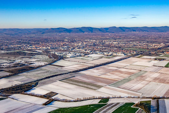 Im Winter bei Schnee im Ortsteil Queichheim in Landau in der Pfalz im Bundesland Rheinland-Pfalz, Deutschland