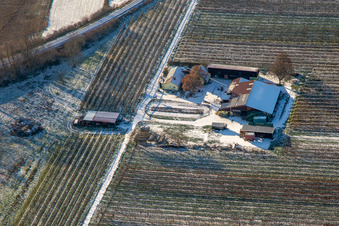 Spargel- und Obsthof Gensheimer im Winter bei Schnee in Steinweiler im Bundesland Rheinland-Pfalz, Deutschland