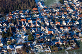 Gänsbuckel im Winter bei Schnee in Winden im Bundesland Rheinland-Pfalz, Deutschland