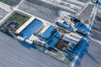 Bauers Garten im Winter bei Schnee in Winden im Bundesland Rheinland-Pfalz, Deutschland