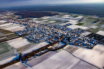 Im Winter bei Schnee in Freckenfeld im Bundesland Rheinland-Pfalz, Deutschland