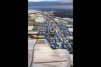 Ortsansicht von Westen im Winter bei Schnee in Freckenfeld im Bundesland Rheinland-Pfalz, Deutschland