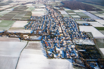 Luftbild von Ortsansicht von Westen im Winter bei Schnee in Freckenfeld im Bundesland Rheinland-Pfalz, Deutschland