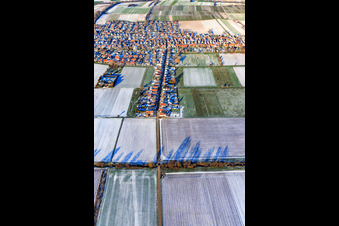 Wattstraße von Süden im Winter bei Schnee in Freckenfeld im Bundesland Rheinland-Pfalz, Deutschland