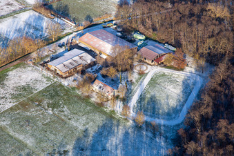 Islandpferdegestüt Bienwald im Winter bei Schnee in Freckenfeld im Bundesland Rheinland-Pfalz, Deutschland