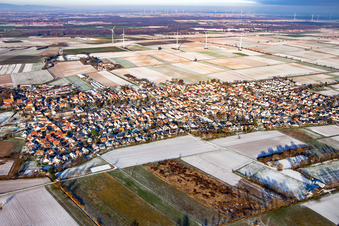 Im Winter bei Schnee in Minfeld im Bundesland Rheinland-Pfalz, Deutschland