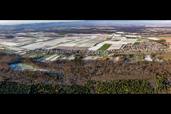 Panorama Saarstraße im Winter bei Schnee in Kandel im Bundesland Rheinland-Pfalz, Deutschland