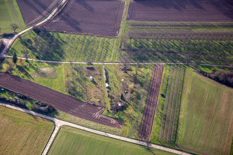 Obstplantagen am Rußbachtal in Schweighofen im Bundesland Rheinland-Pfalz, Deutschland