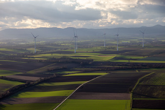 Windpark Freckenfeld im Bundesland Rheinland-Pfalz, Deutschland aus der Luft