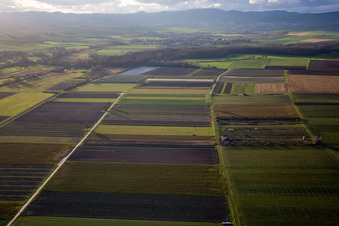 Drohnenbild von Ortsteil Mühlhofen in Billigheim-Ingenheim im Bundesland Rheinland-Pfalz, Deutschland