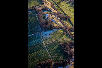 Luftbild von Kapelle "Kleine Kalmit" im Naturschutzgebiet Kleine Kalmit in Ilbesheim bei Landau im Bundesland Rheinland-Pfalz, Deutschland