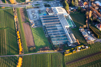 Luftaufnahme von Gartencenter Edesheim GmbH im Bundesland Rheinland-Pfalz, Deutschland