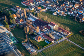 Weingut Werner Anselmann, Gebrüder Anselmann GmbH in Edesheim im Bundesland Rheinland-Pfalz, Deutschland