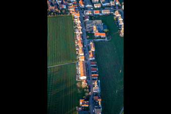 Schanzstraße in Edenkoben im Bundesland Rheinland-Pfalz, Deutschland