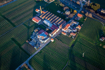 Renault Autohaus Schreieck GmbH vor dem Weingut Albert Götz KG in Kirrweiler im Bundesland Rheinland-Pfalz, Deutschland