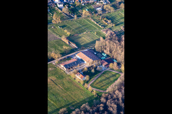 Island-Gestüt Bienwald in Freckenfeld im Bundesland Rheinland-Pfalz, Deutschland