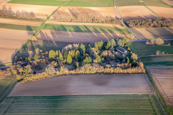 Kleinod im Park an der Dierbacherstr in Vollmersweiler im Bundesland Rheinland-Pfalz, Deutschland