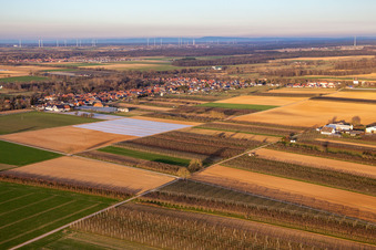 Winden von Südwesten im Bundesland Rheinland-Pfalz, Deutschland